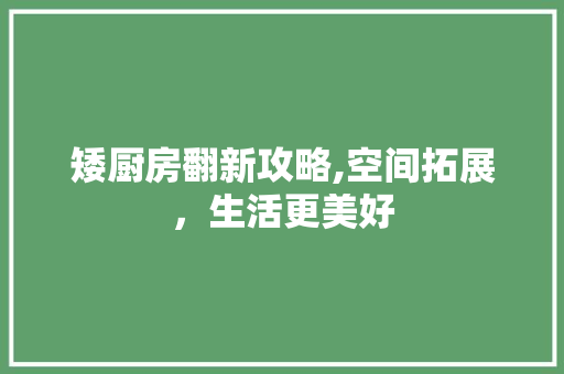 矮厨房翻新攻略,空间拓展，生活更美好