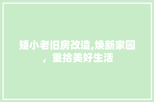 矮小老旧房改造,焕新家园，重拾美好生活