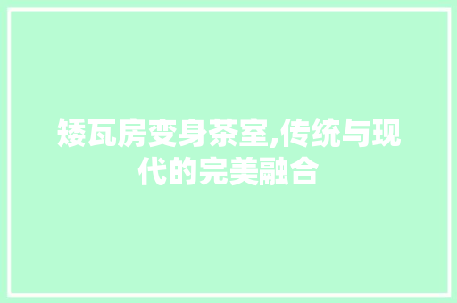 矮瓦房变身茶室,传统与现代的完美融合