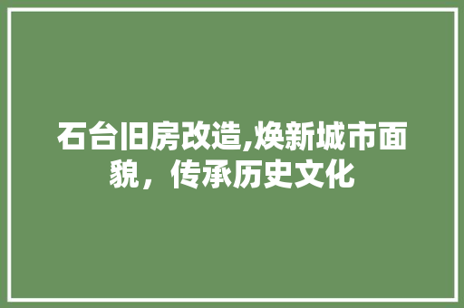 石台旧房改造,焕新城市面貌，传承历史文化