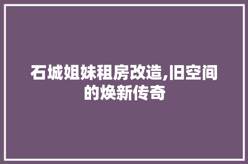 石城姐妹租房改造,旧空间的焕新传奇