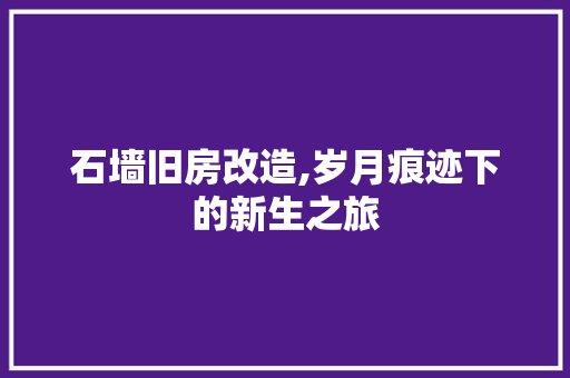 石墙旧房改造,岁月痕迹下的新生之旅