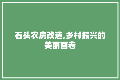 石头农房改造,乡村振兴的美丽画卷