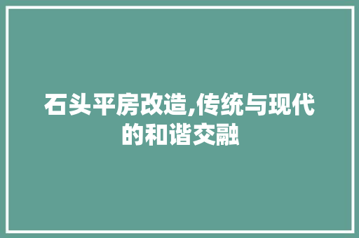 石头平房改造,传统与现代的和谐交融