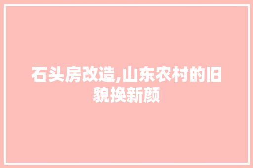 石头房改造,山东农村的旧貌换新颜