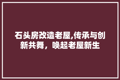 石头房改造老屋,传承与创新共舞，唤起老屋新生