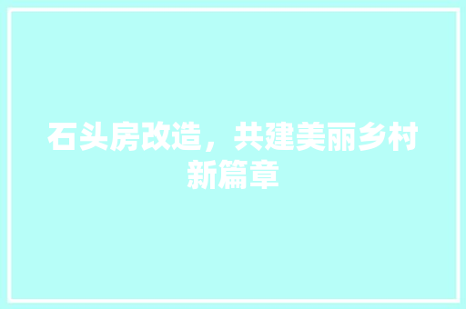 石头房改造，共建美丽乡村新篇章
