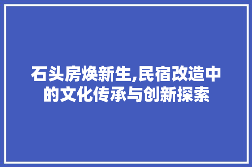 石头房焕新生,民宿改造中的文化传承与创新探索