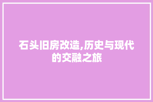 石头旧房改造,历史与现代的交融之旅 厨房维修