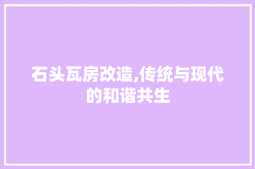 石头瓦房改造,传统与现代的和谐共生