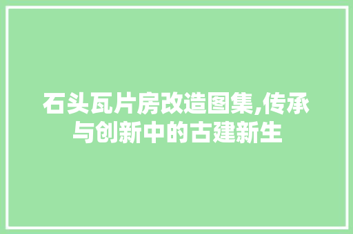石头瓦片房改造图集,传承与创新中的古建新生