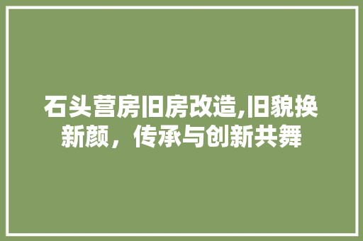 石头营房旧房改造,旧貌换新颜，传承与创新共舞 厨房维修
