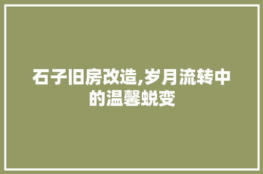 石子旧房改造,岁月流转中的温馨蜕变
