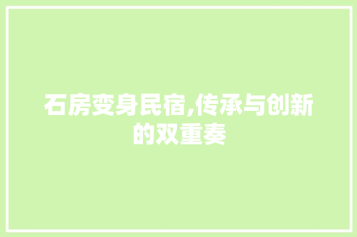 石房变身民宿,传承与创新的双重奏