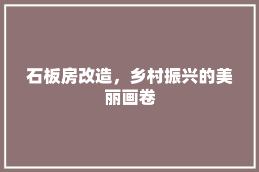 石板房改造，乡村振兴的美丽画卷 墙体维修