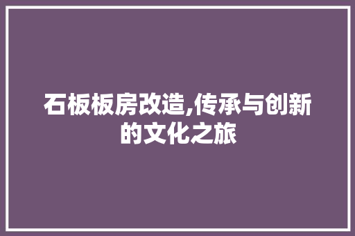 石板板房改造,传承与创新的文化之旅 家电维修