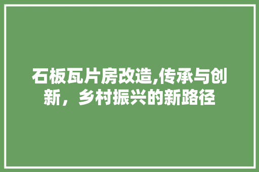 石板瓦片房改造,传承与创新，乡村振兴的新路径