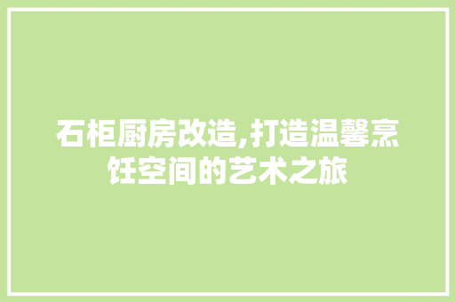 石柜厨房改造,打造温馨烹饪空间的艺术之旅