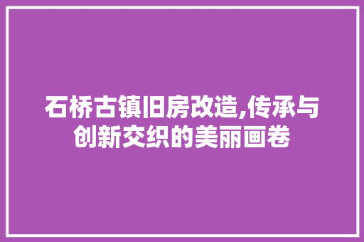 石桥古镇旧房改造,传承与创新交织的美丽画卷