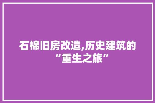 石棉旧房改造,历史建筑的“重生之旅”