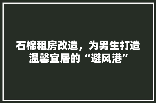 石棉租房改造，为男生打造温馨宜居的“避风港”