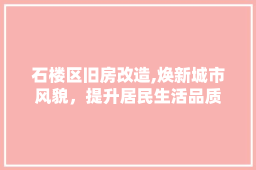 石楼区旧房改造,焕新城市风貌，提升居民生活品质