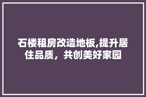 石楼租房改造地板,提升居住品质，共创美好家园