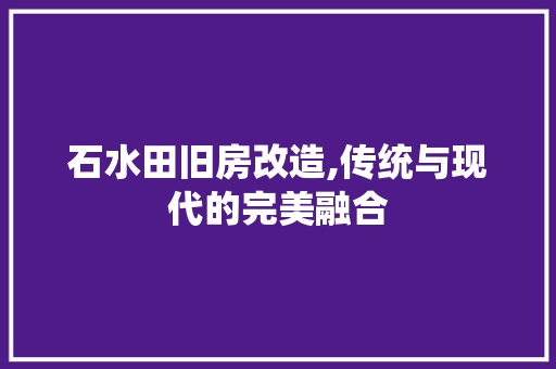 石水田旧房改造,传统与现代的完美融合