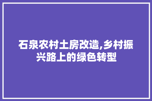 石泉农村土房改造,乡村振兴路上的绿色转型