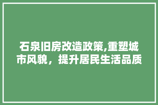 石泉旧房改造政策,重塑城市风貌，提升居民生活品质