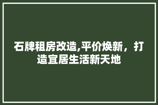 石牌租房改造,平价焕新，打造宜居生活新天地