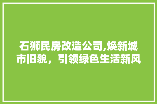 石狮民房改造公司,焕新城市旧貌，引领绿色生活新风尚