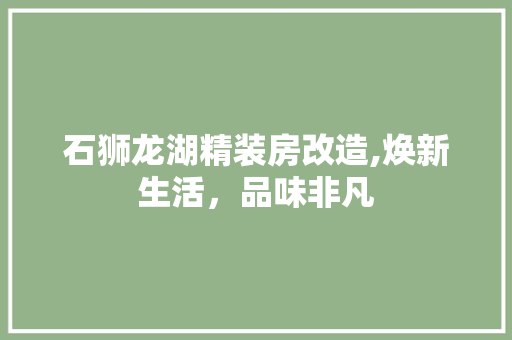 石狮龙湖精装房改造,焕新生活，品味非凡
