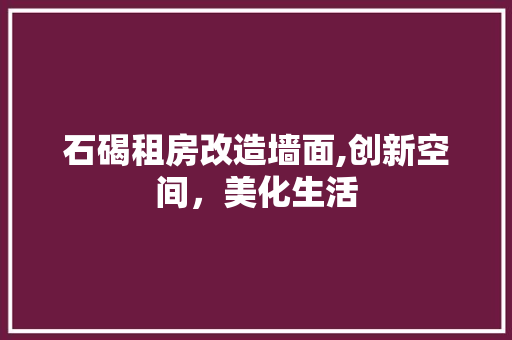 石碣租房改造墙面,创新空间，美化生活