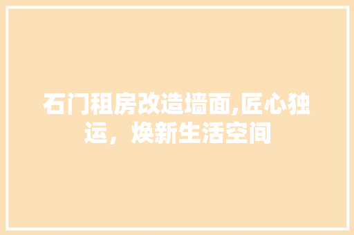 石门租房改造墙面,匠心独运，焕新生活空间