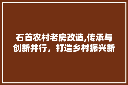 石首农村老房改造,传承与创新并行，打造乡村振兴新地标