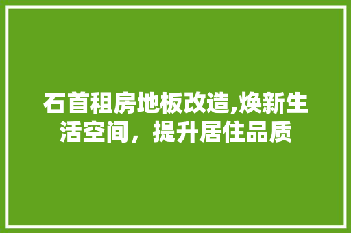 石首租房地板改造,焕新生活空间，提升居住品质