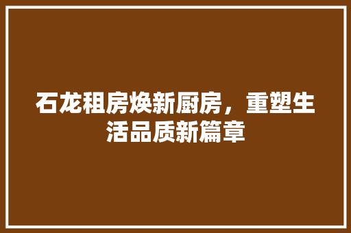 石龙租房焕新厨房，重塑生活品质新篇章