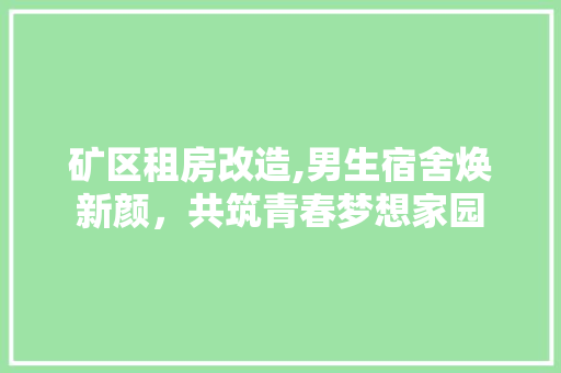 矿区租房改造,男生宿舍焕新颜，共筑青春梦想家园