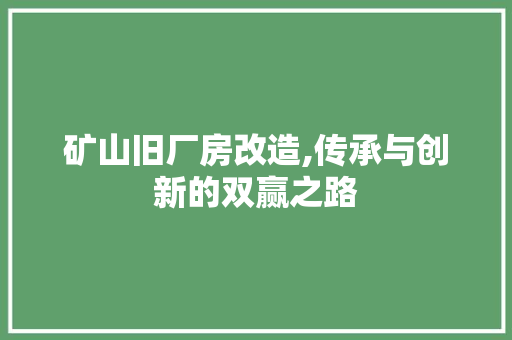 矿山旧厂房改造,传承与创新的双赢之路