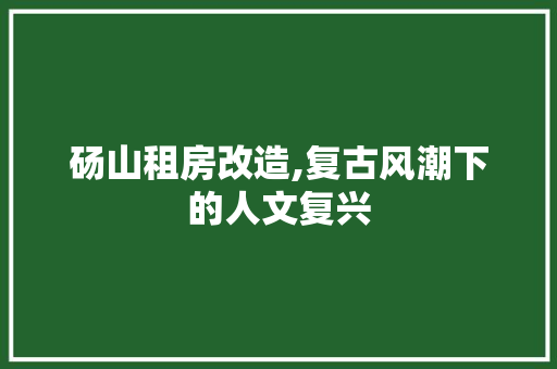 砀山租房改造,复古风潮下的人文复兴