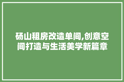 砀山租房改造单间,创意空间打造与生活美学新篇章