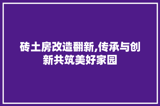 砖土房改造翻新,传承与创新共筑美好家园