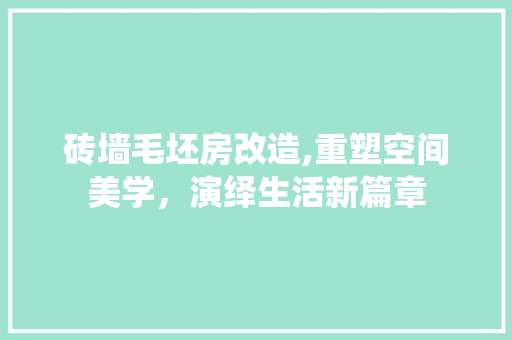 砖墙毛坯房改造,重塑空间美学，演绎生活新篇章