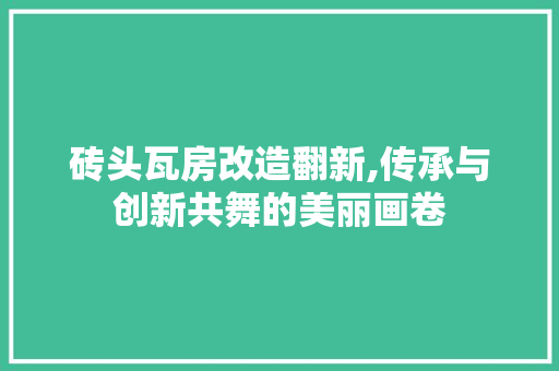砖头瓦房改造翻新,传承与创新共舞的美丽画卷