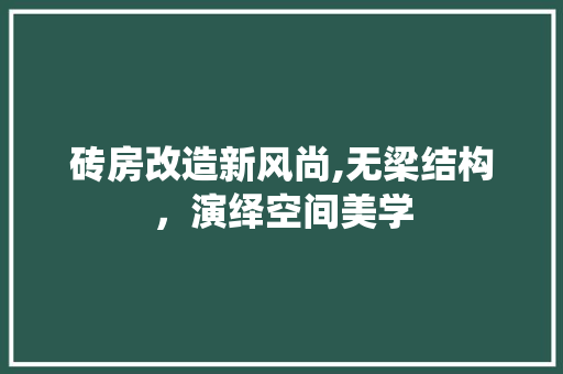 砖房改造新风尚,无梁结构，演绎空间美学 墙体维修