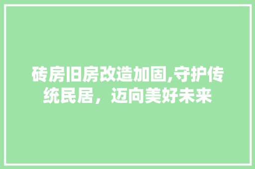 砖房旧房改造加固,守护传统民居，迈向美好未来 家电维修