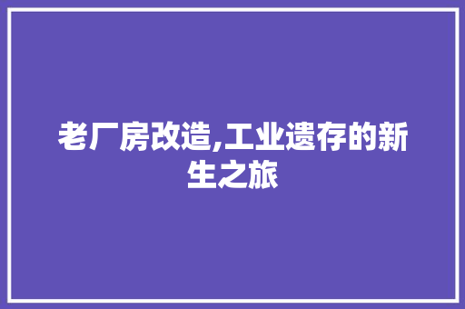 老厂房改造,工业遗存的新生之旅