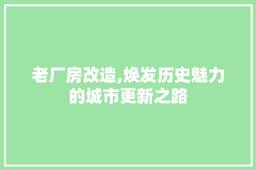 老厂房改造,焕发历史魅力的城市更新之路