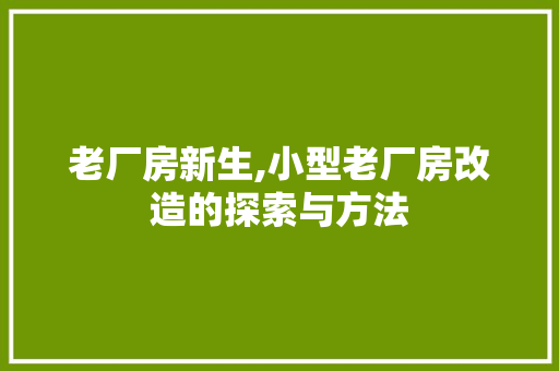 老厂房新生,小型老厂房改造的探索与方法